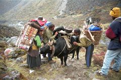 24 Egg Lady and Yak Herders Fixing Yak Loads On The Descent From Shao La To Joksam Tibet
